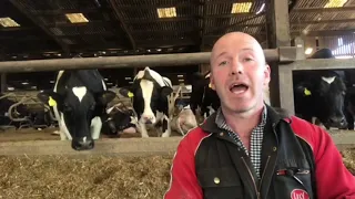 Milking cows with a robot