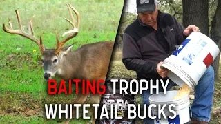 Hunting Whitetail Deer Tips using Powerful Bait!