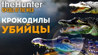 theHunter Call of the Wild - ДИНОЗАВРЫ Австралии