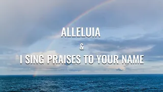 Alleluia & I Sing Praises To Your Name Instrumental worship (flute+strings) /3HOURS 임재찬양