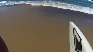 Annesley tigershark surfing finless