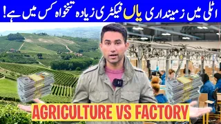 Agriculture Seasonal Jobs Vs Factory Jobs Italy🇮🇹 | AdeelJameelGlobal