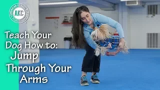 Teach Your Dog How To Jump Through Arms - AKC Trick Dog