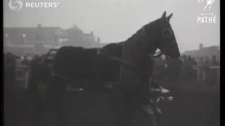 Grand National probables (1951)