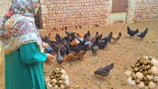 You won't believe how she lives ! The simple life of a girl in rural Iran