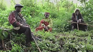 Племя, которое выгнали из леса, предупреждает об исчезновении растений
