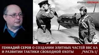 Геннадий Серов о создании элитных частей ВВС КА и развитии тактики свободной охоты. Часть 1.