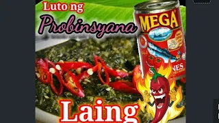 Laing ng Bicol with sardinas and sili |luto ng probinsyana |Pagkaing Pinoy