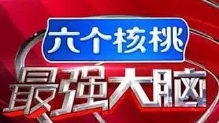 最强大脑 第三季 20160318期 中国vs日本 Game 2.4