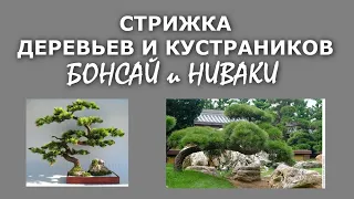 Стрижка деревьев и кустарников. Часть 1. Бонсай и Ниваки (обзор)