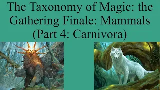 The Taxonomy of Magic the Gathering Finale: Mammals (Part 4: Carnivora)