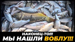НЕ ТАМ ВЫ ЕЁ ИЩЕТЕ!!! ОНА ГОРАЗДО БЛИЖЕ!!! Рыбалка в Астрахани 2024 год | Вобла Астрахань 2024