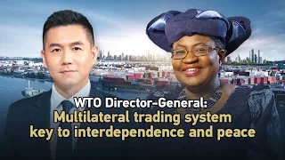 WTO chief: Multilateral trading system key to interdependence, peace