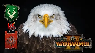 THE DREADED EAGLE BUILD | Wood Elves vs Skaven - Total War Warhammer 2