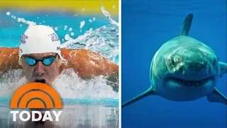 Michael Phelps Vs. Shark: See The Dramatic Trailer | TODAY