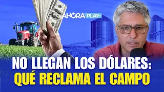 LOS DÓLARES SE DEMORAN: QUÉ ESPERA EL CAMPO DE CAPUTO | Maxi Montenegro - Ahora Play