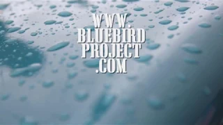 Bluebird Project - Progress 24