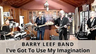 I've Got To Use My Imagination (The Rides) cover by the Barry Leef Band