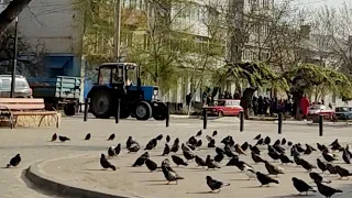 Что с праздником в Каховке в военное время