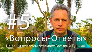 "Вопросы-Ответы", Выпуск #5 - Василий Тушкин отвечает на ваши вопросы