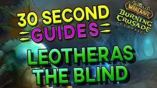 Leotheras the Blind - Serpentshrine Cavern - 30 Second Guides