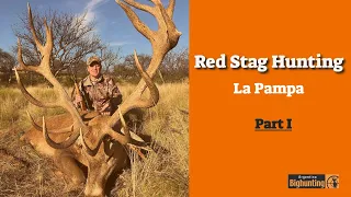 Red Stag Hunting in La Pampa  Part 1