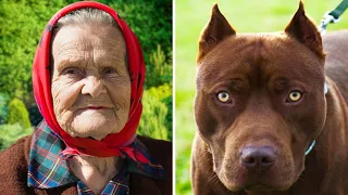 Old Woman Adopts A Strange Pit Bull. Months Later, Neighbors Suddenly Hear a Loud Scream!