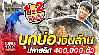 น้อง บุกบ่อเงินล้าน ปลาสลิด 400,000 ตัว | SUPER100