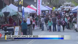 BEE FESTIVAL