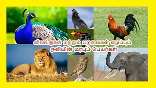 விலங்குகள் மற்றும் பறவைகள் எழுப்பும் ஒலியின் மரபுப் பெயர்கள் | தமிழரசி | Tamilarasi for Kids