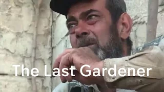 Inside Aleppo: the tale of the flower-seller