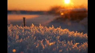 🎶 А НЕБО КРИЧИТ - Очень Красивая Песня! 🙏