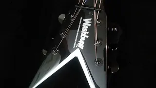 My holy grail Washburn factory signed dimebag 3st guitar