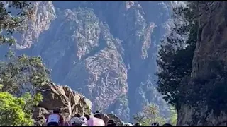 Les coureurs de la Corsica cyclo GT 20, ce matin, dans l'ascension vers le col de Verghiu.