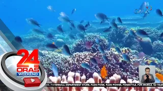 Coral reef sa Sebaste, Antique, tumatambad kapag low tide | 24 Oras Weekend