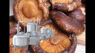 Automatic Vacuum Frying Machine For Potato Chips