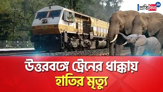 Alipurduar Incident: Three Elephants killed after goods train hit them