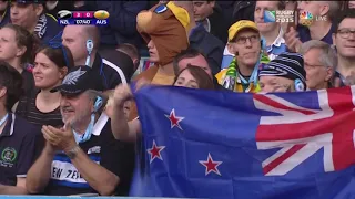 2015 Rugby Final New Zealand vs Australia