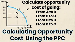 How to Calculate Opportunity Cost Using PPC | Econ Homework | Think Econ