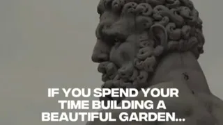 If you spend your time chasing butterflies