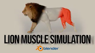 Blender | Lion Muscle Simulation