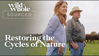 Restoring The Cycles of Nature | Wild+Whole Sourced