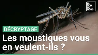 Moustiques : Pourquoi certaines personnes se font-elles plus piquer par les moustiques ?