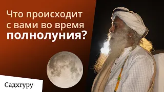 Как полнолуние влияет на нас?