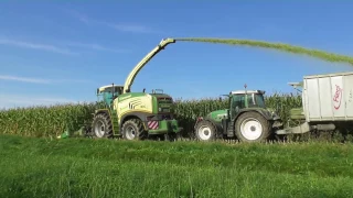 LU Pommer in Action - Maisernte mit Krone Big X 480