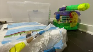 EXPANDING MY HAMSTER’S CAGE (ALMOST 2X BIGGER!!!)