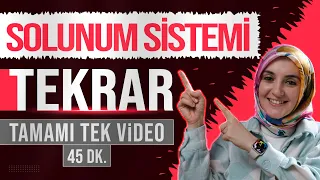 7) Solunum Sistemi FULL TEKRAR | 11. Sınıf Biyoloji | AYT Biyoloji Konu Anlatımı 7