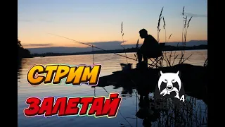 Russian Fishing 4 (ловись рыбка большая и маленькая)