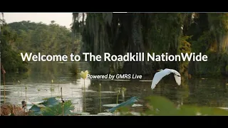 The RoadKill NationWide Net 05-31-2024