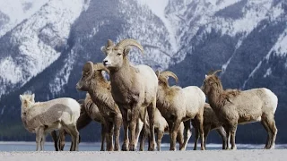 Alberta Canada - Banff Frozen in Time in 4K! | DEVINSUPERTRAMP